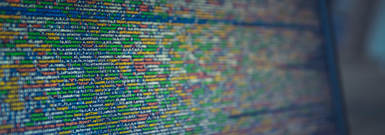 Website development